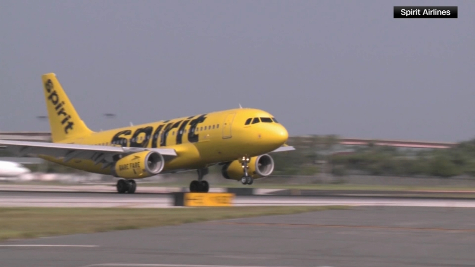 Spirit Airlines se declara en bancarrota; seguirá operando mientras reestructura su deuda