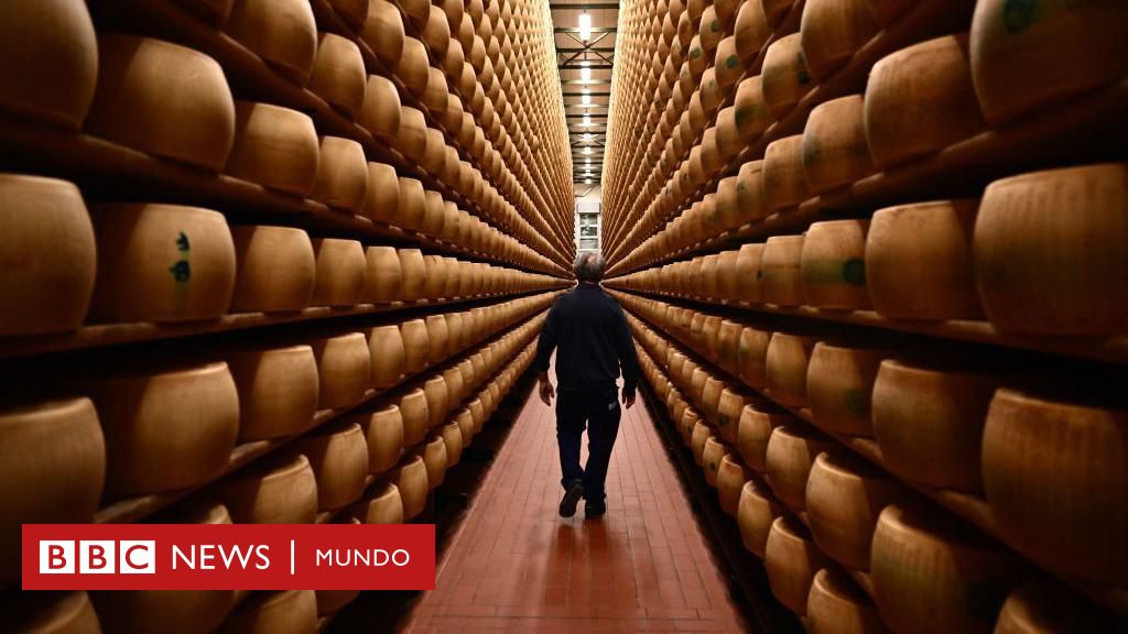 Por qué el queso gourmet está en la mira de criminales del mercado negro – BBC News Mundo