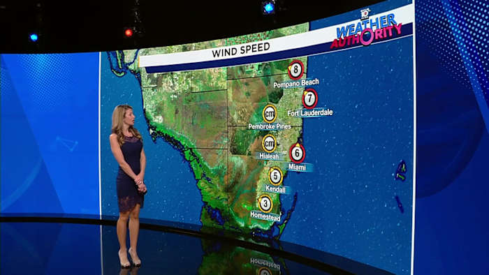 El sur de la Florida da la bienvenida al clima frío