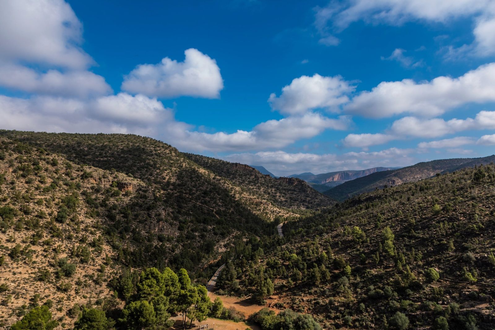 ¿Hace cuánto que usamos las plantas como medicina? Una cueva de Marruecos nos da pistas