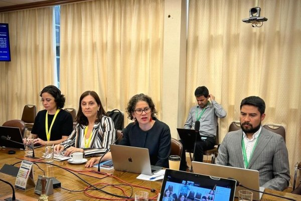 Comisión de Medio Ambiente de la Cámara de Diputados despacha reforma a la SMA y avanza a Hacienda | Diario Financiero