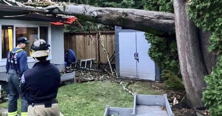 Tormenta mata a 2 personas y deja sin luz a más de medio millón de hogares en EEUU