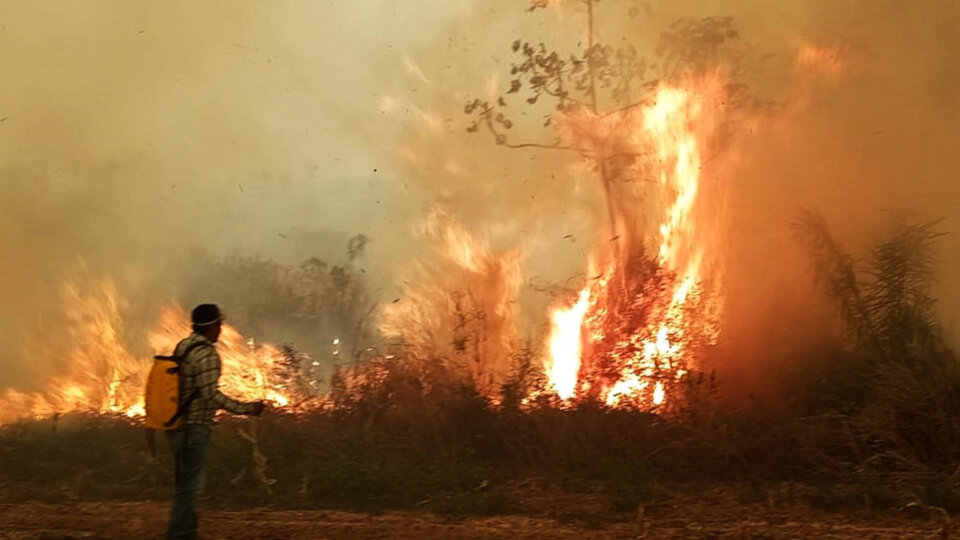 Bolivia sufre la “mayor crisis ambiental” de su historia por los incendios  |  Estiman que hay 1.800 millones de árboles quemados