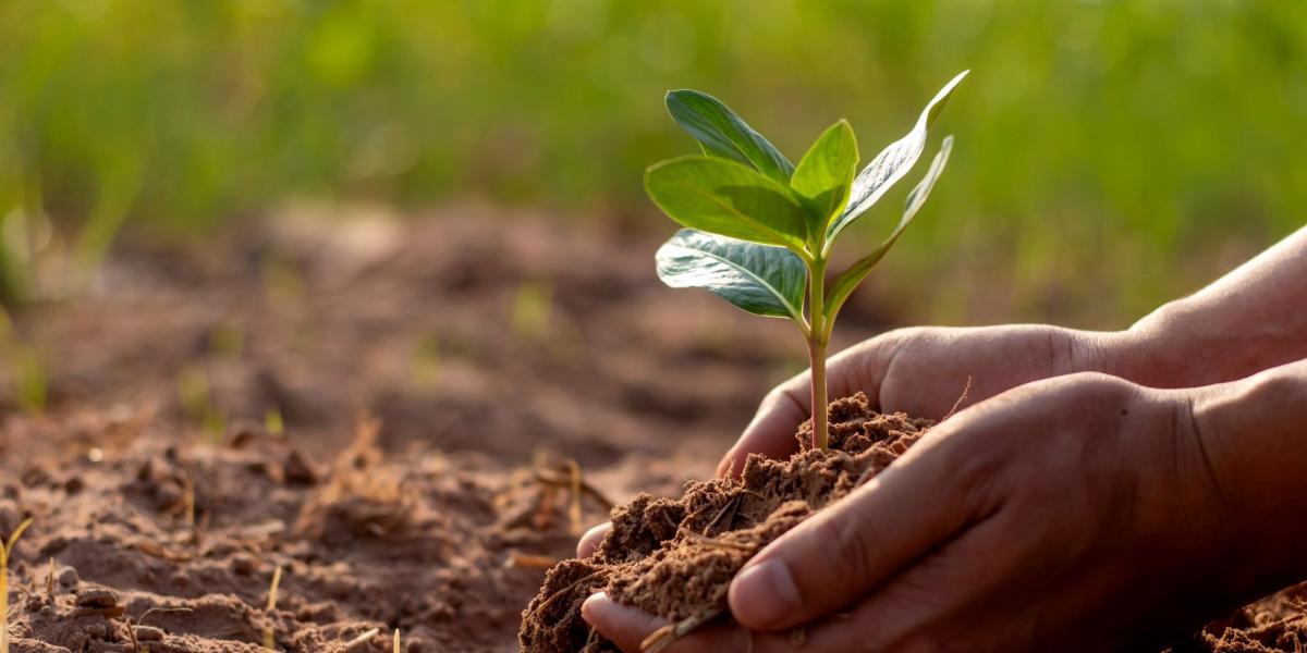 México se queda “corto” en el gasto destinado al medioambiente