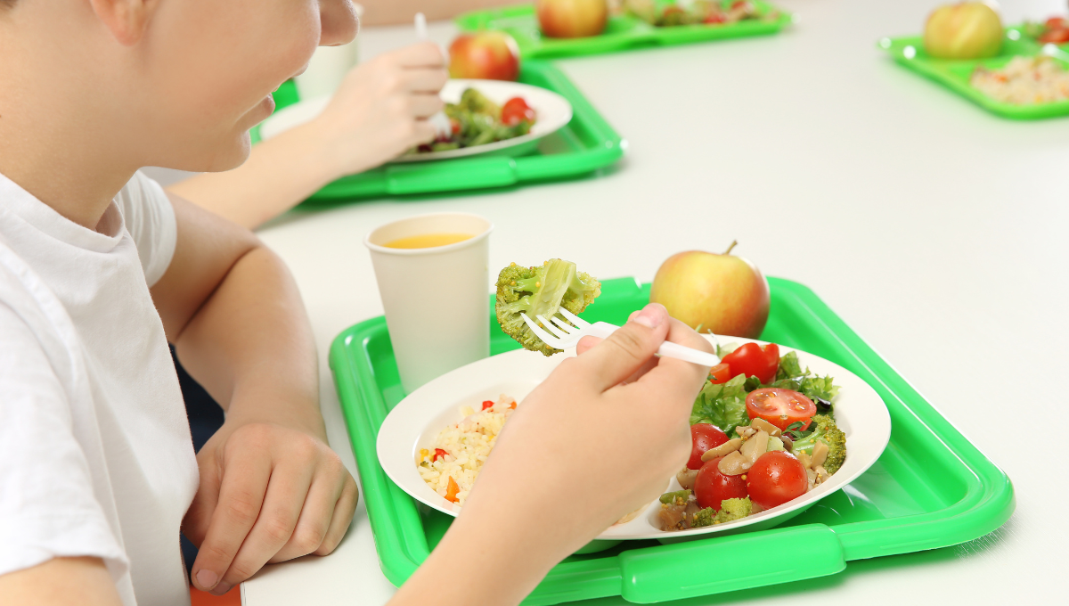 La dieta de los niños: ¿Qué debe incluir un menú escolar saludable?