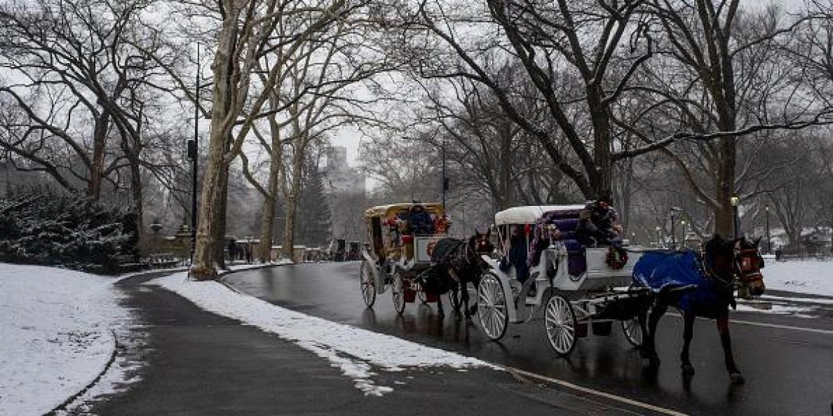 la-nieve-en-nueva-york-llega-en-esta-fecha-exacta-de-diciembre:-cuando-sera-la-primera-nevada