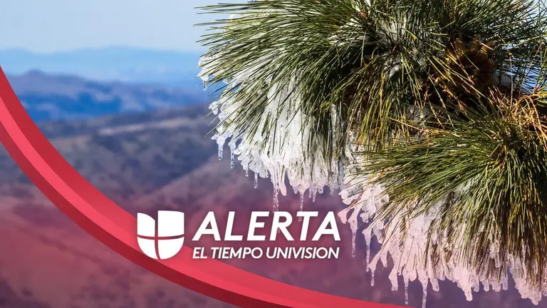 Emiten aviso y advertencia por helada en algunas ciudades debido a temperaturas casi congelantes en el Área de la Bahía