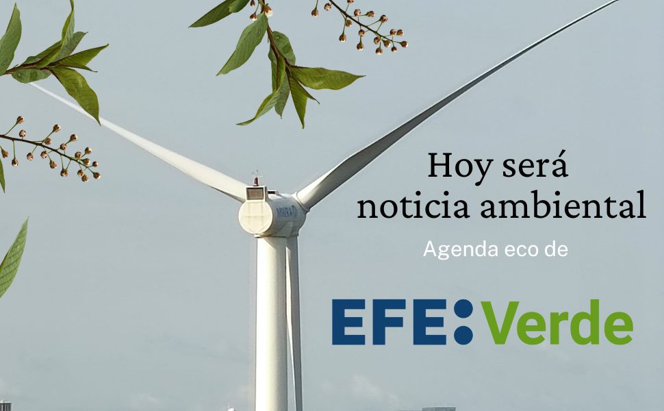 Hoy será noticia ambiental… Agenda ambiental de EFEverde