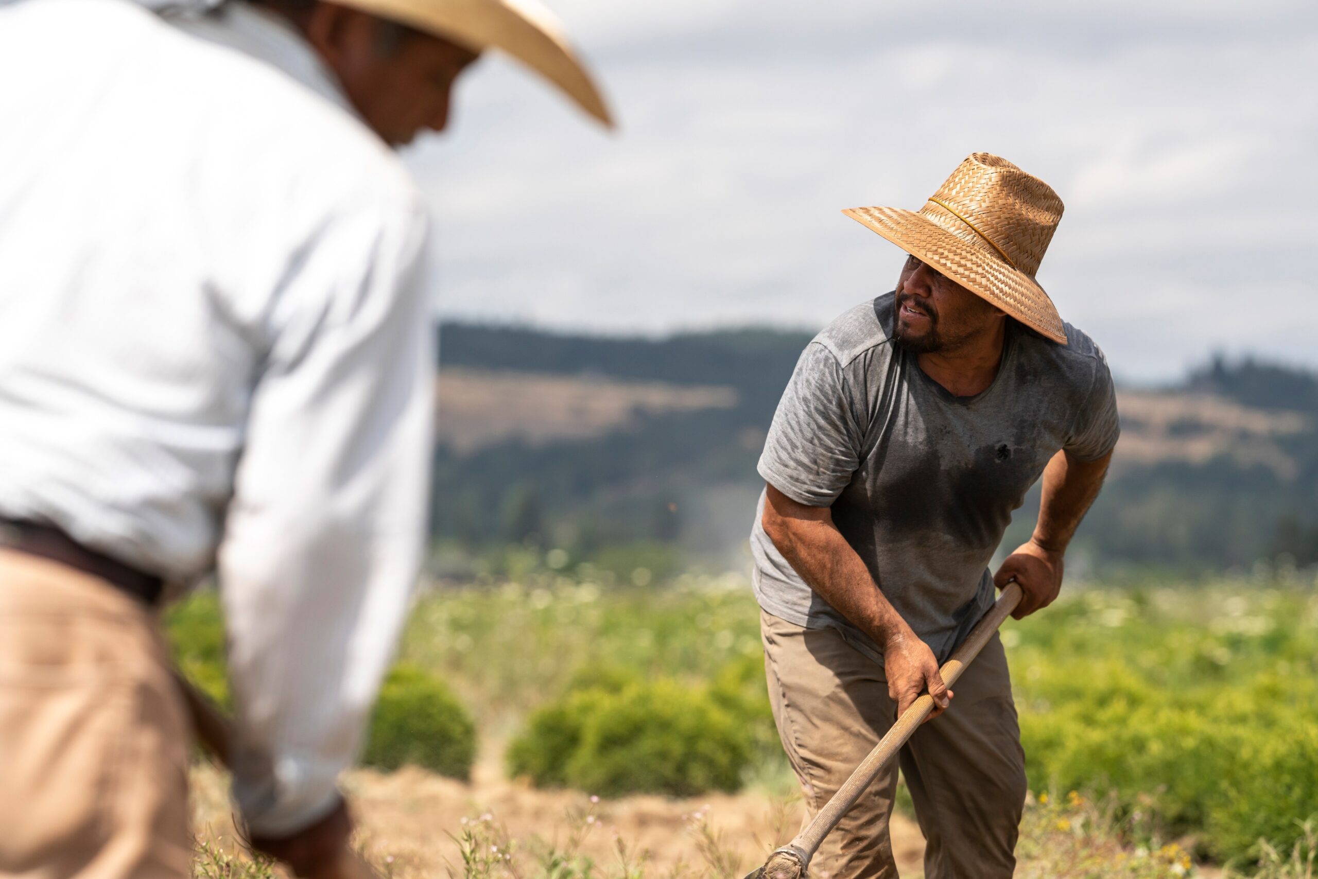 reves-para-biden;-juez-bloquea-protecciones-para-trabajadores-agricolas-con-visas-temporales-–-la-opinion