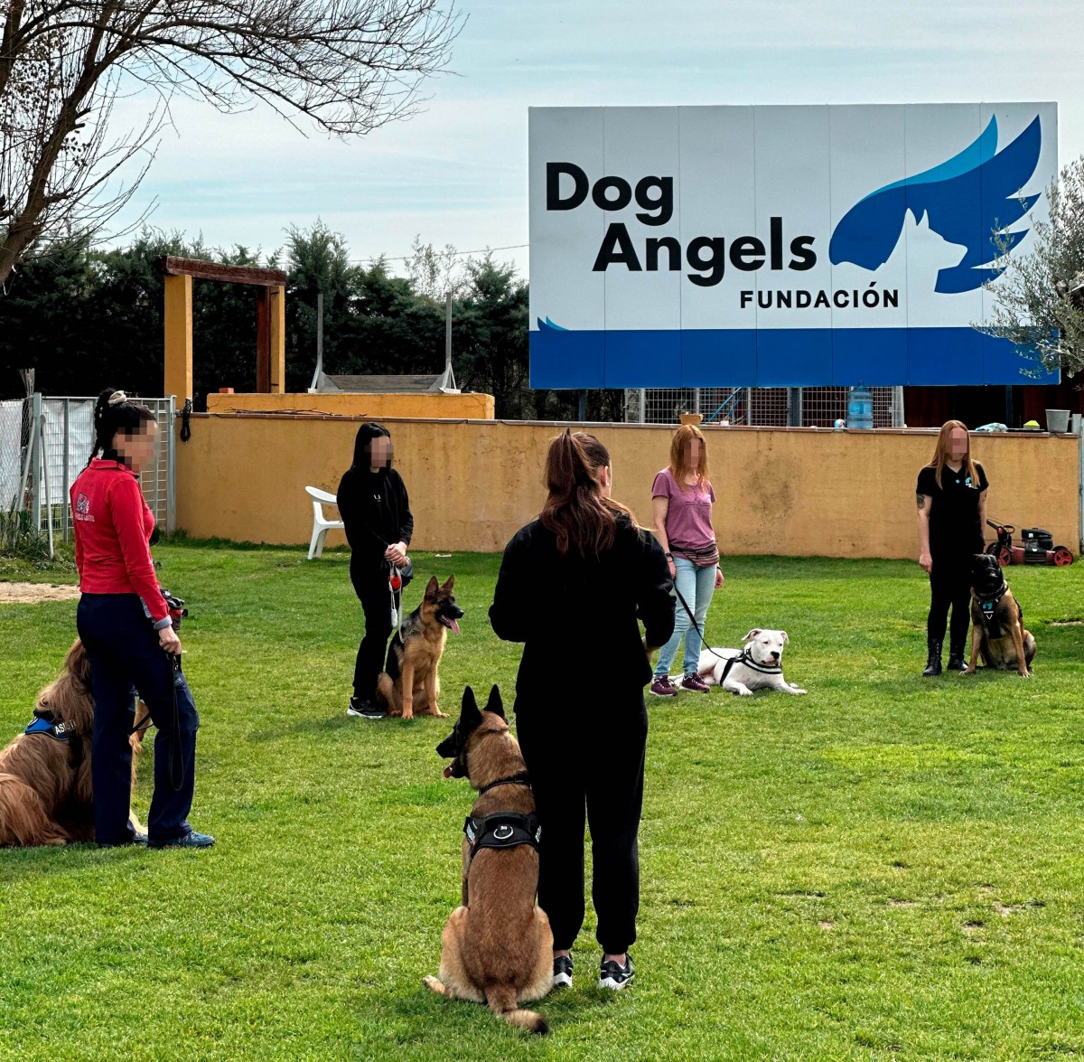 la-fundacion-dog-angels-y-grupo-visan-se-unen-para-fortalecer-el-bienestar-animal-y-social-|-portalveterinaria