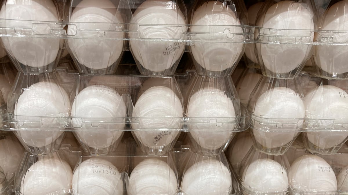 Retiran pepinos y huevos en Estados Unidos por posible contaminación con salmonela