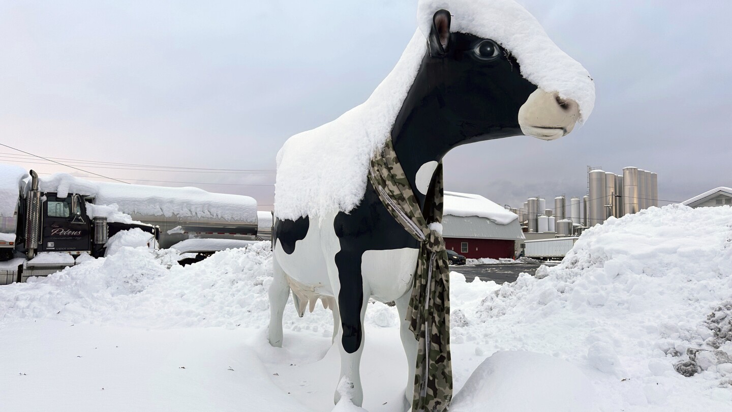 Fuertes nevadas y bajas temperaturas mantienen a partes de EEU bajo la nieve