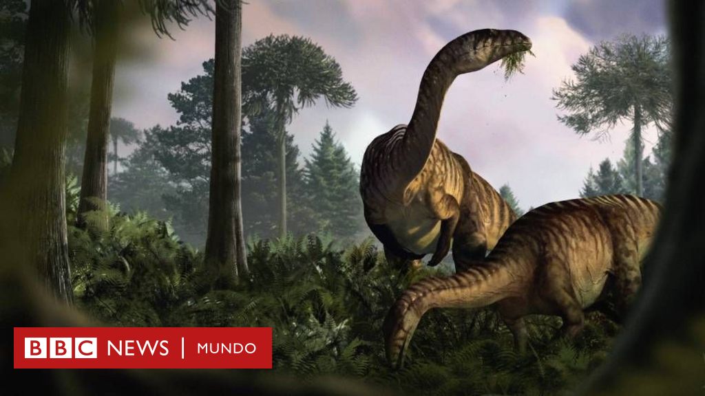 dinosaurios:-que-revelan-sus-heces-y-vomitos-fosilizado-sobre-su-dominio-en-la-tierra-y-el-cambio-climatico-–-bbc-news-mundo