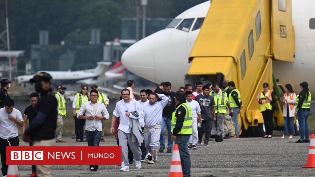 Trump: ¿cuánto aportan los migrantes indocumentados a la economía de EE.UU.? (y cómo puede afectar una deportación masiva como la que propone el presidente electo) – BBC News Mundo