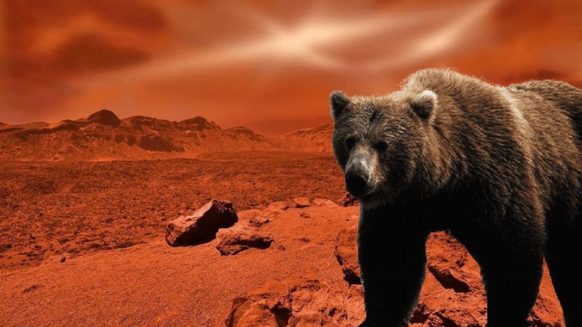 el-descubrimiento-de-un-“oso”-en-la-superficie-de-marte-que-deslumbro-a-los-cientificos-de-la-nasa