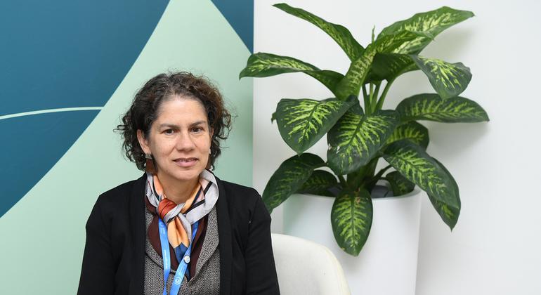 COP29: El Acuerdo de París permite una participación más allá de los Estados, recuerda la ministra del Medio Ambiente de Chile