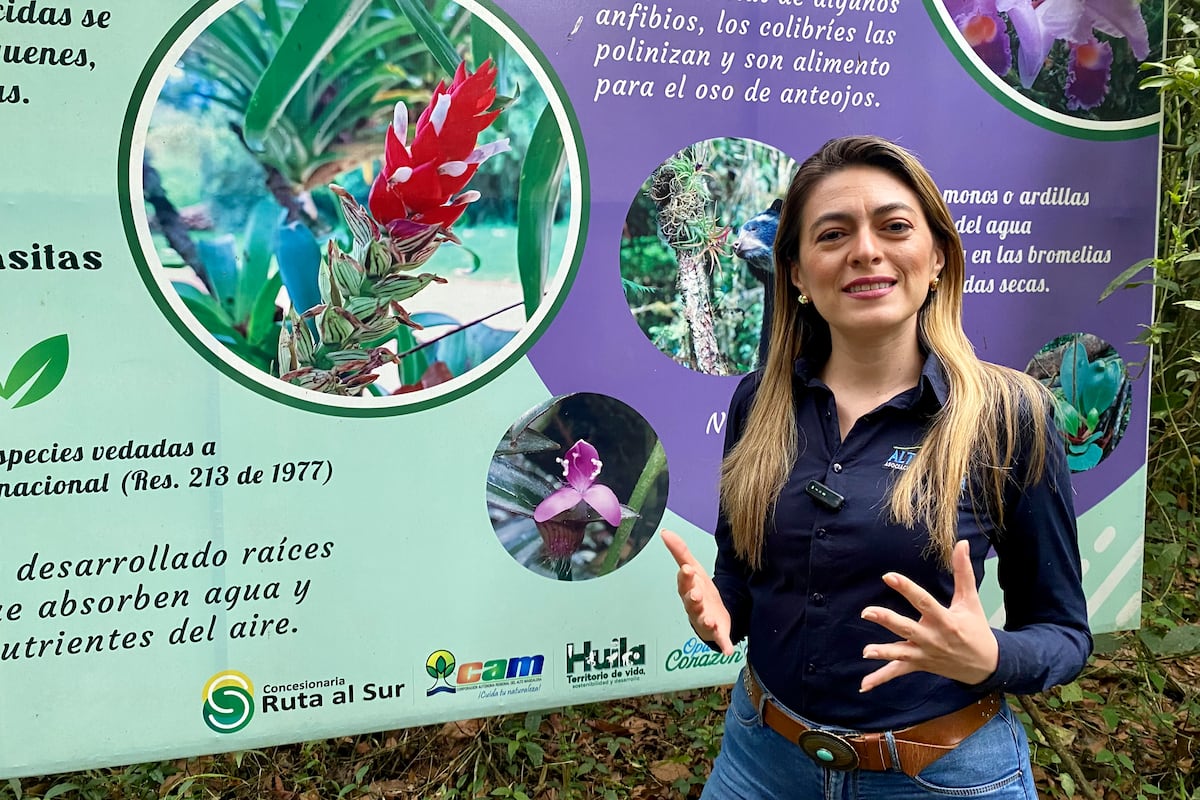 Dianny Albornoz: hacer periodismo ambiental desde el corazón del Macizo Colombiano