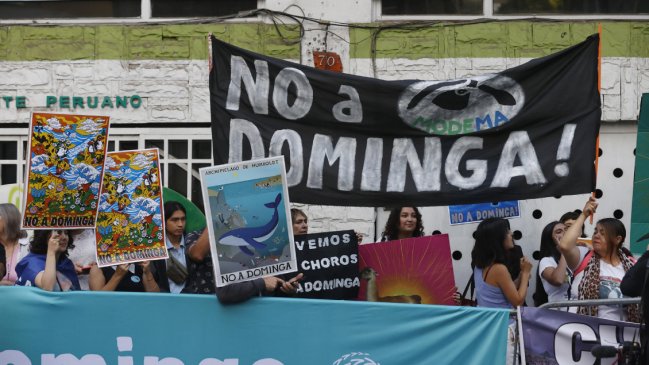 dominga:-¿debe-el-gobierno-apelar-al-fallo-ambiental?