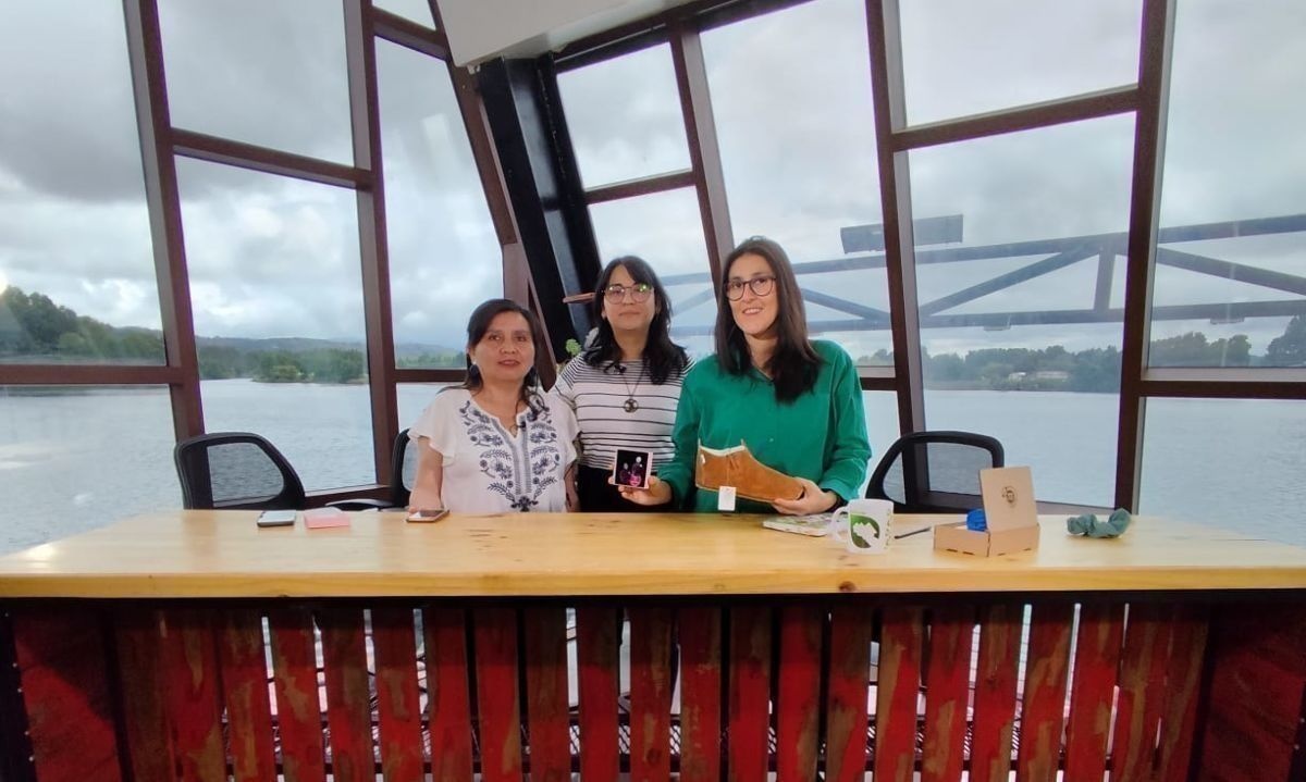 Creadoras Sustentables: reuniendo el medioambiente,  la creatividad y el emprendimiento en Valdivia – Diario Sostenible