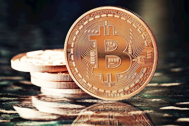 ¿bitcoin-en-tu-portafolio?-he-aqui-por-que-el-5,77-%-es-la-asignacion-optima-segun-los-expertos