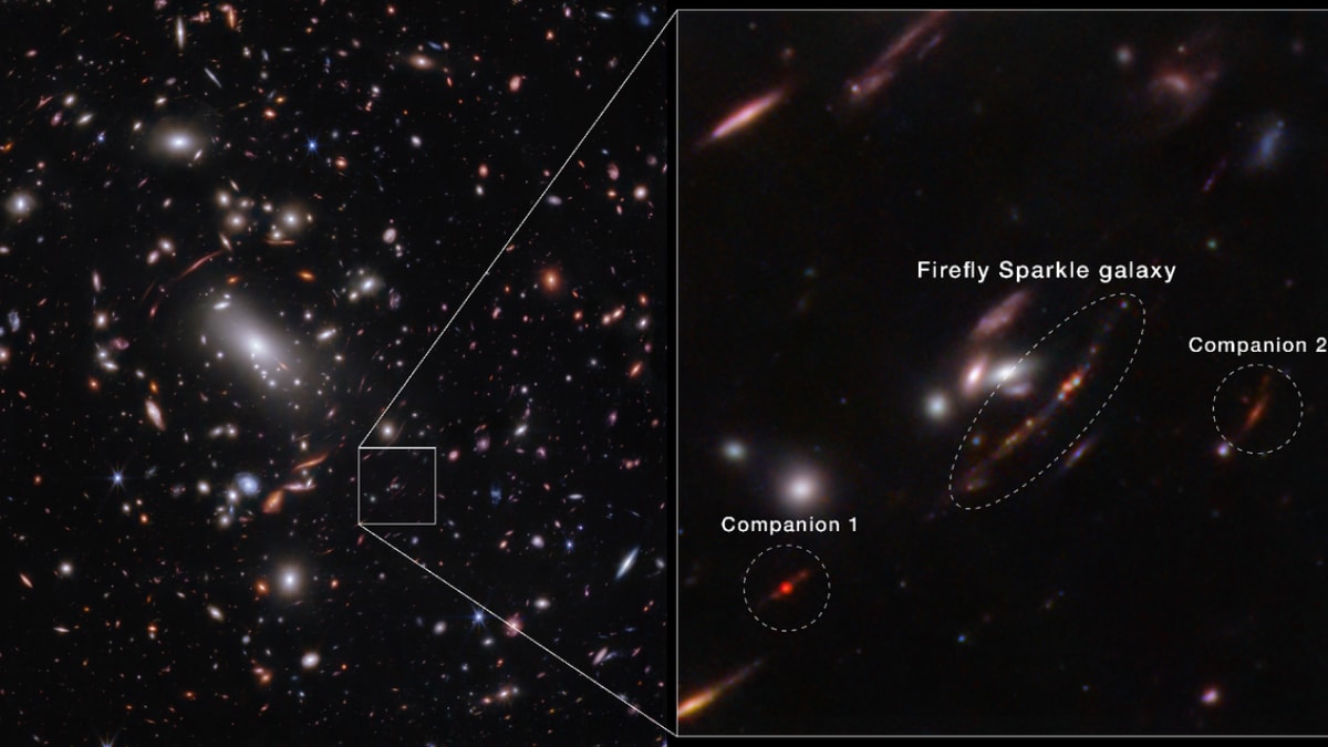 el-telescopio-webb-de-la-nasa-revela-firefly-sparkle,-una-galaxia-related-a-la-via-lactea-–-igeteo.mx