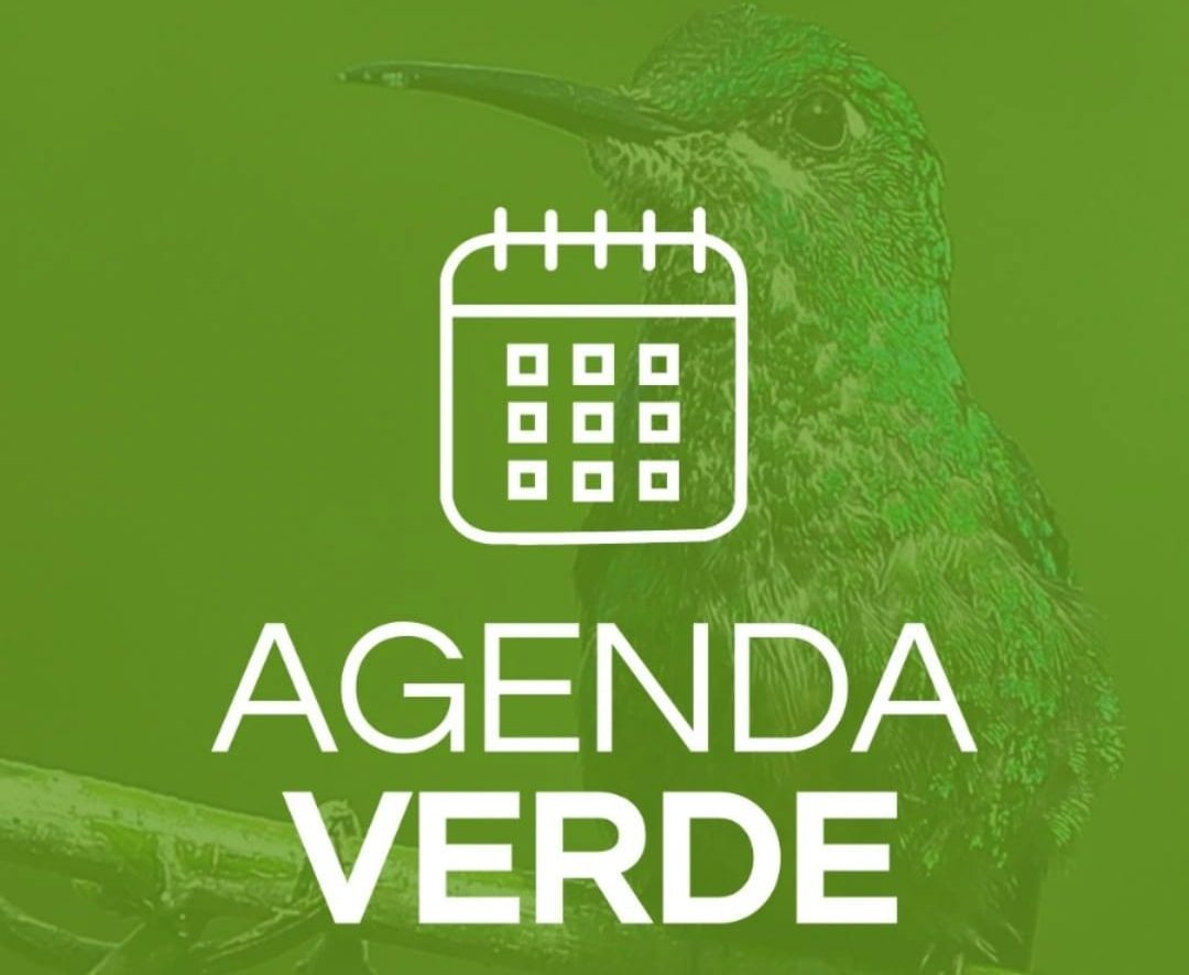 Hoy será noticia ambiental… Agenda ambiental de EFEverde