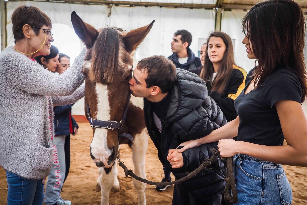 Caballos que cuidan la salud mental de las personas