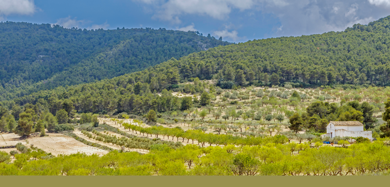 Seminario sobre sostenibilidad en Villena: involucrando a los jóvenes en el futuro del medioambiente