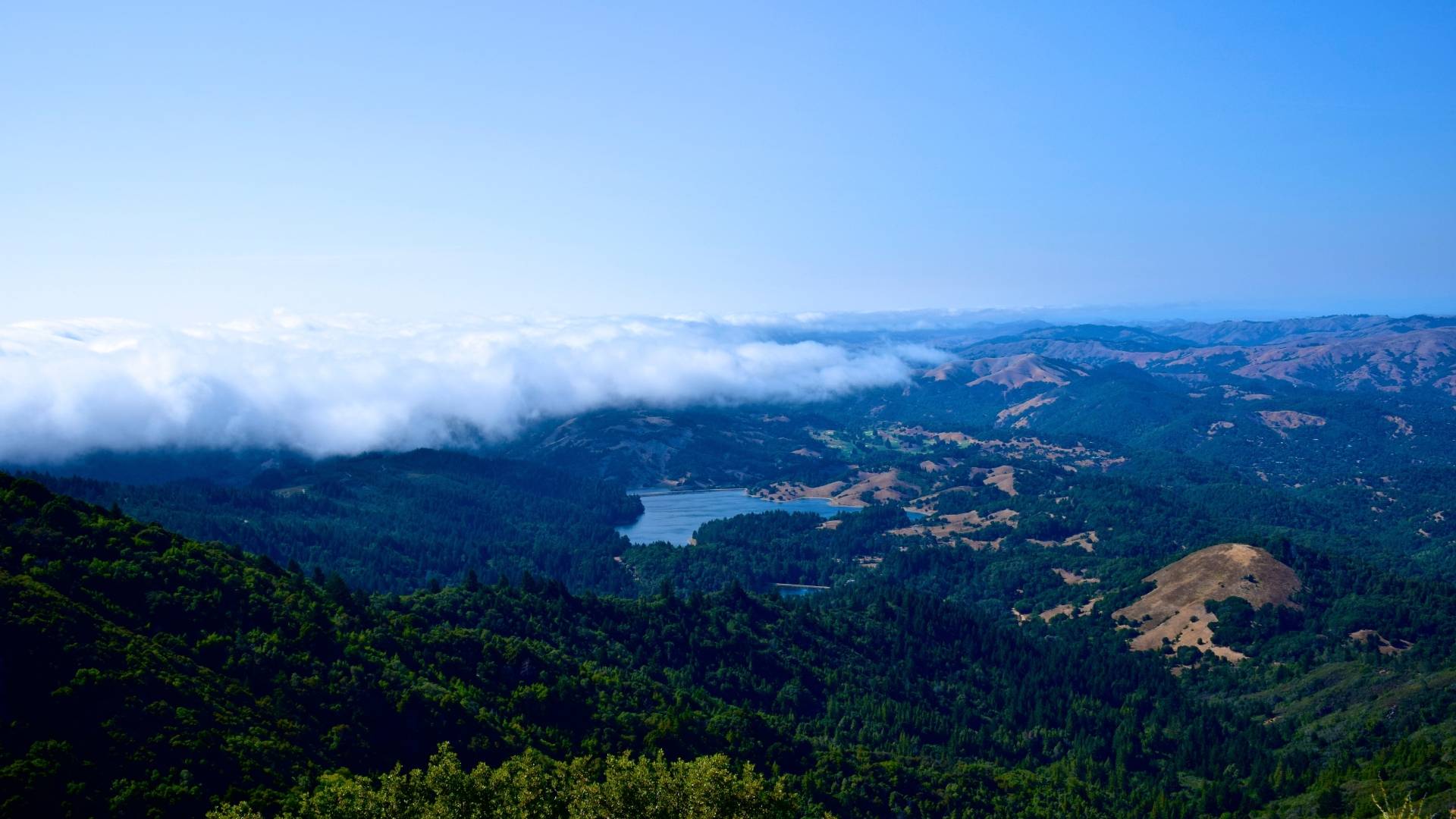 Excelentes noticias sobre el agua en el Área de la Bahía en California