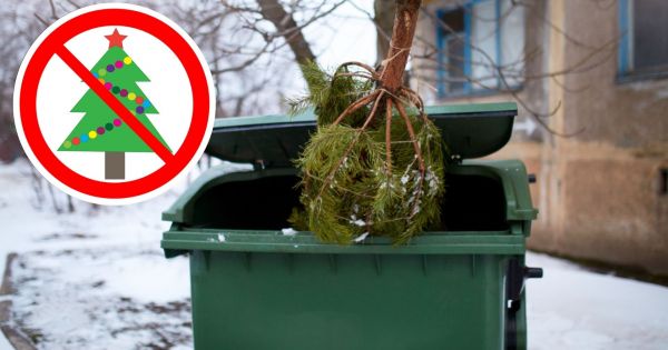 Estos pases no celebran la Navidad | Qu religin tienen y qu hacen el 24 de diciembre?