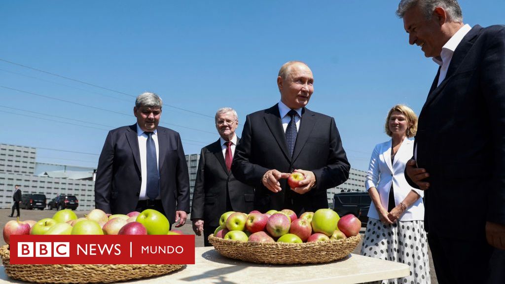 Garbanzos a cambio de papas: las empresas de Rusia que vuelven a usar el trueque para esquivar las sanciones por la guerra de Ucrania – BBC News Mundo