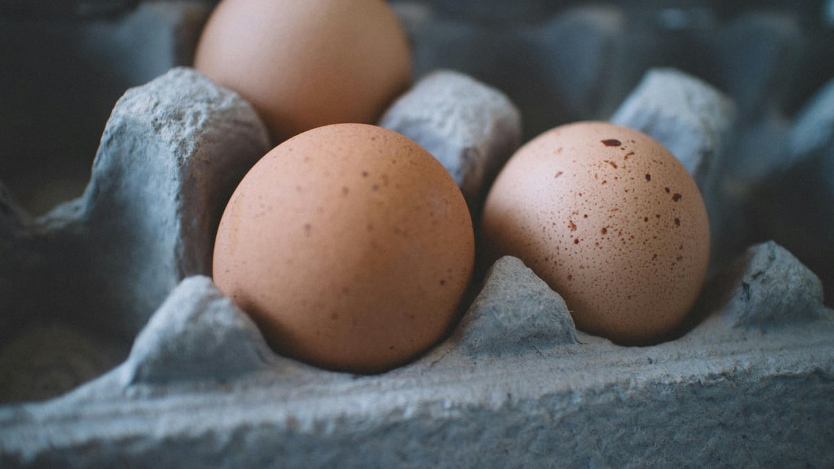 ¿Qué tan saludable es comer huevo todos los días? Esto explica la OMS