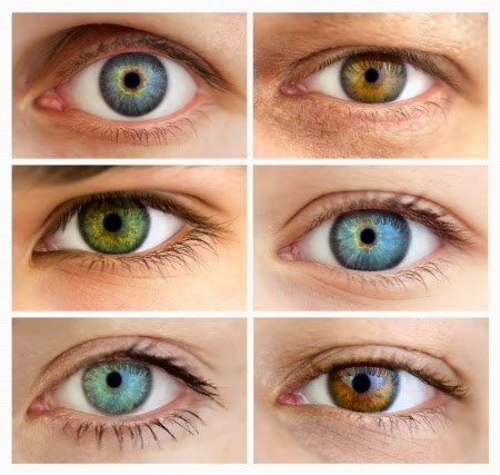 10 curiosidades que no sabías sobre el ojo humano – Clínica Villoria