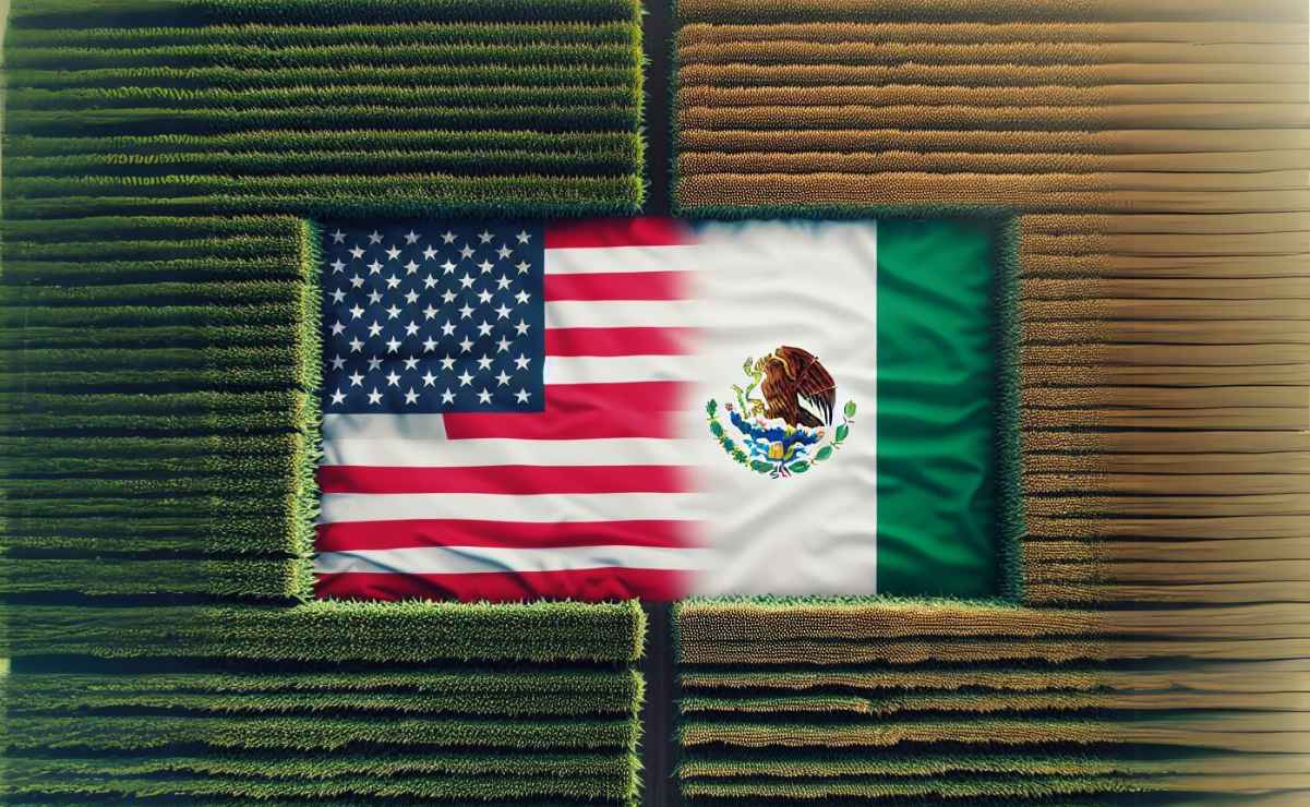 Maíz transgénico confronta a México y EU; ¿Qué es y por qué México buscaba prohibirlo para consumo humano? | El Universal