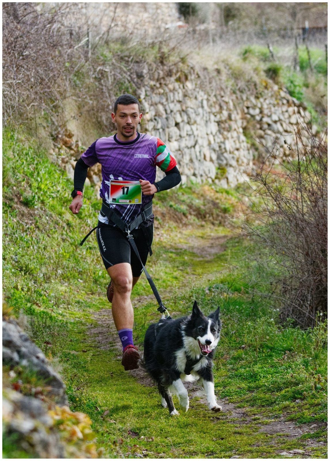 Canicross: el deporte de correr atado a tu perro