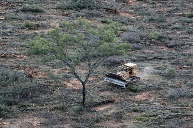 Balance ambiental de Argentina 2024: el primer año de gobierno de un presidente negacionista que sostiene que la economía está por encima de la naturaleza