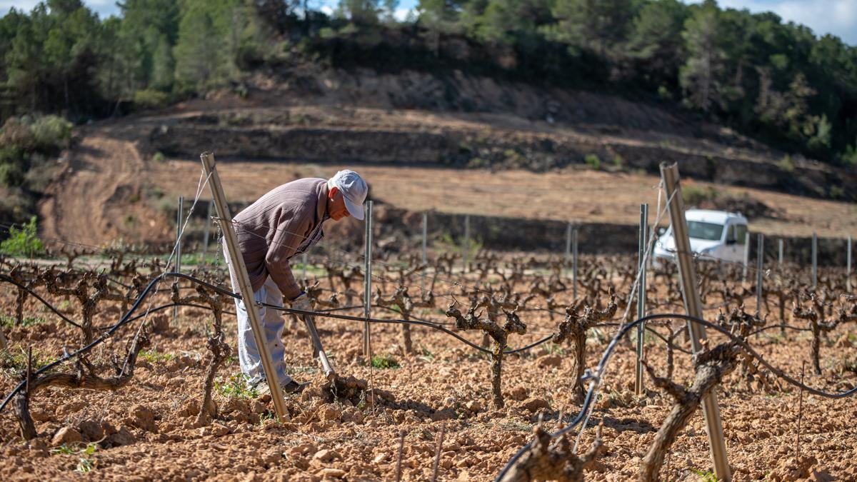 El entorno rural, un reto añadido en la lucha por la salud mental