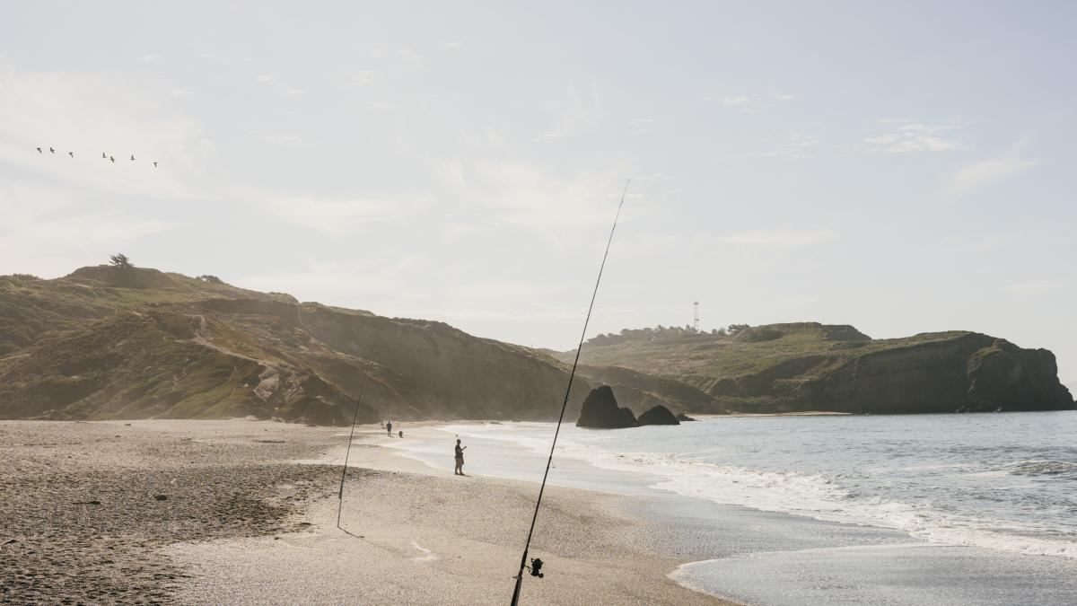 ¿Qué bacterias hay en las playas de California? Tenga cuidado