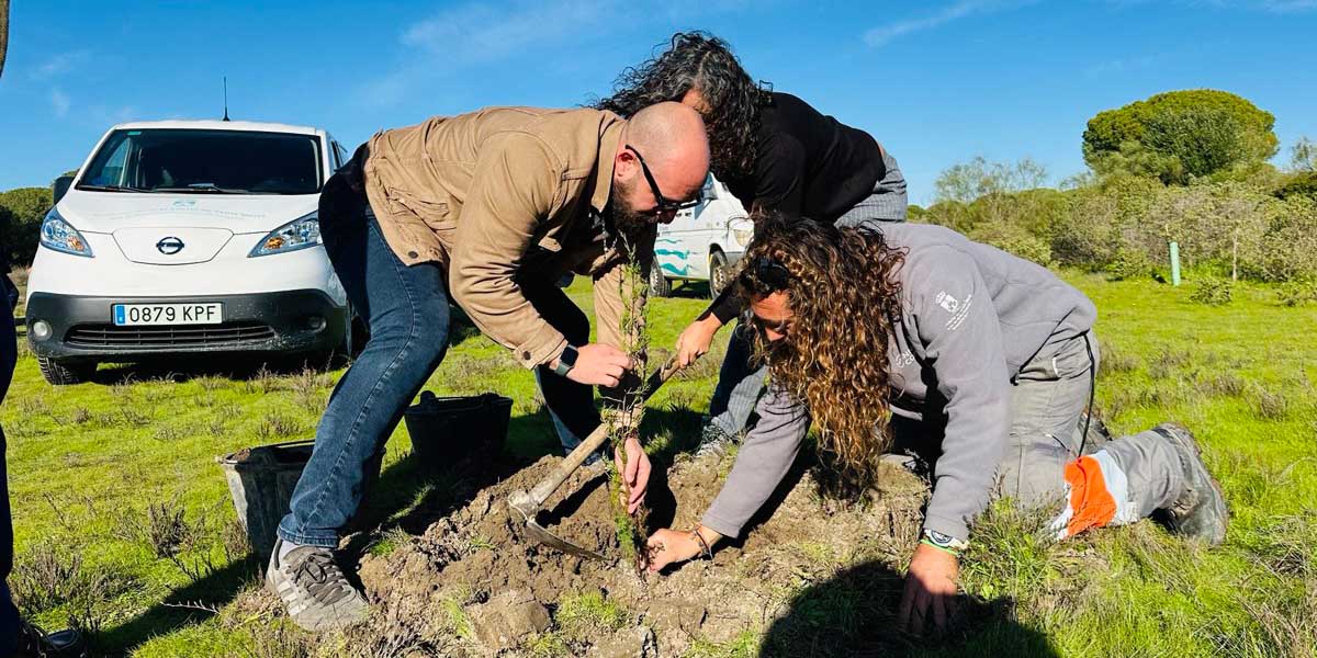 El Puerto impulsa la regeneración ambiental: más de 250 estudiantes participan en la plantación de especies autóctonas – El Puerto Actualidad