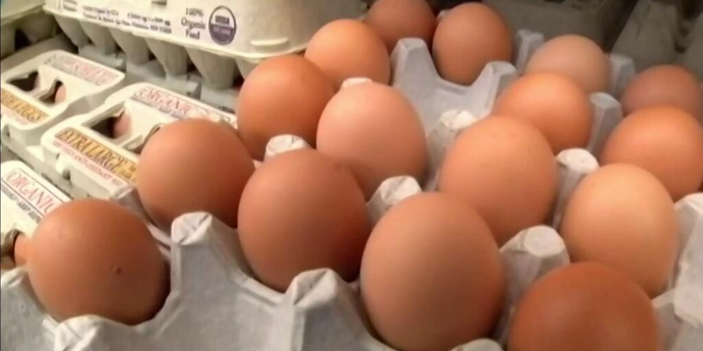 Suben el nivel de la alerta emitida por huevos posiblemente contaminados con salmonella