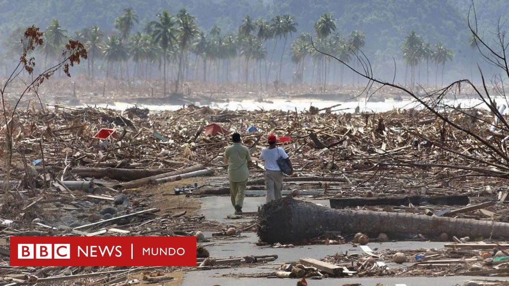 20 años del tsunami del océano Índico: 3 cosas que aprendimos desde el tsunami de 2004, el desastre natural más mortífero de la historia moderna – BBC News Mundo