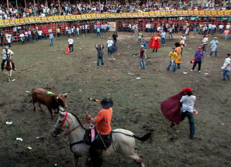 Gobernación de Antioquia hizo advertencia ante cualquier acto que atente contra el bienestar animal en las tradicionales corralejas