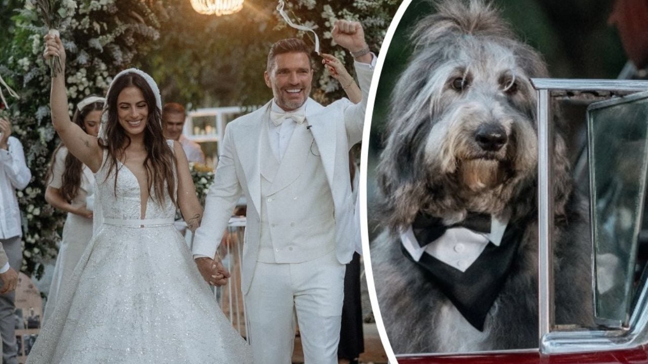 Julián Gil se casa con periodista mexicana, ¡y su perro fue el padrino de anillos! FOTOS