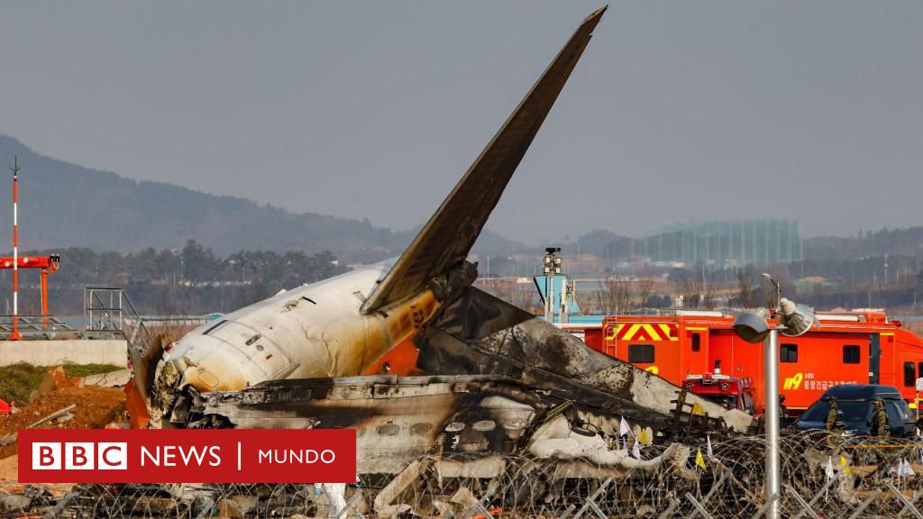 Qué se sabe del accidente del avión en Corea del Sur en el que murieron 179 personas – BBC News Mundo