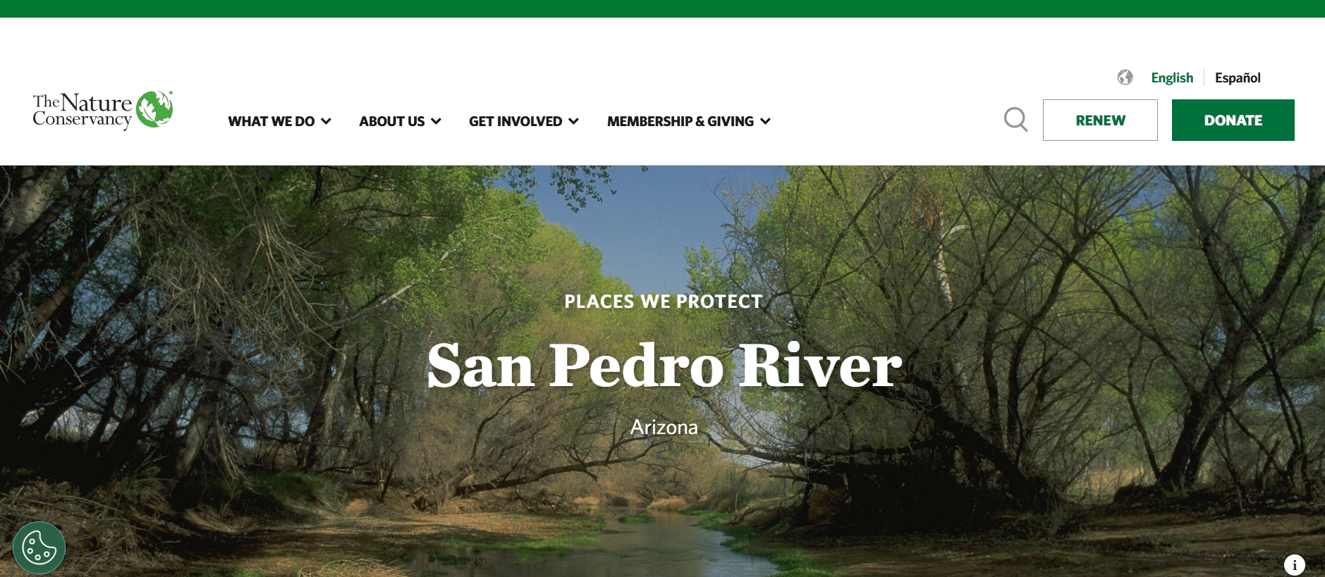 El río San Pedro, en la frontera con México, es clave para las comunidades y biodiversidad de Arizona y requiere ayuda para su conservación – Conecta Arizona