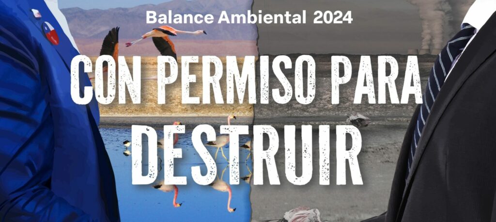 Fundación Terram destaca lo mejor y peor del 2024 en nuevo balance ambiental | Ladera Sur