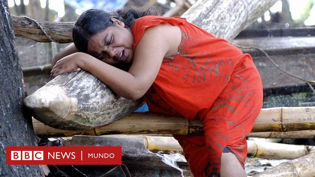 20 años del tsunami del océano Índico: 3 cosas que aprendimos desde el tsunami de 2004, el desastre natural más mortífero de la historia moderna – BBC News Mundo