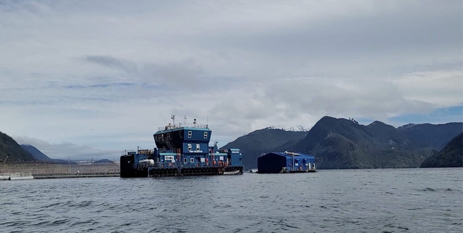 Salmonera Cooke Aquaculture enfrenta críticas y demandas por contaminación en Estados Unidos y Chile – El Clarin de Chile