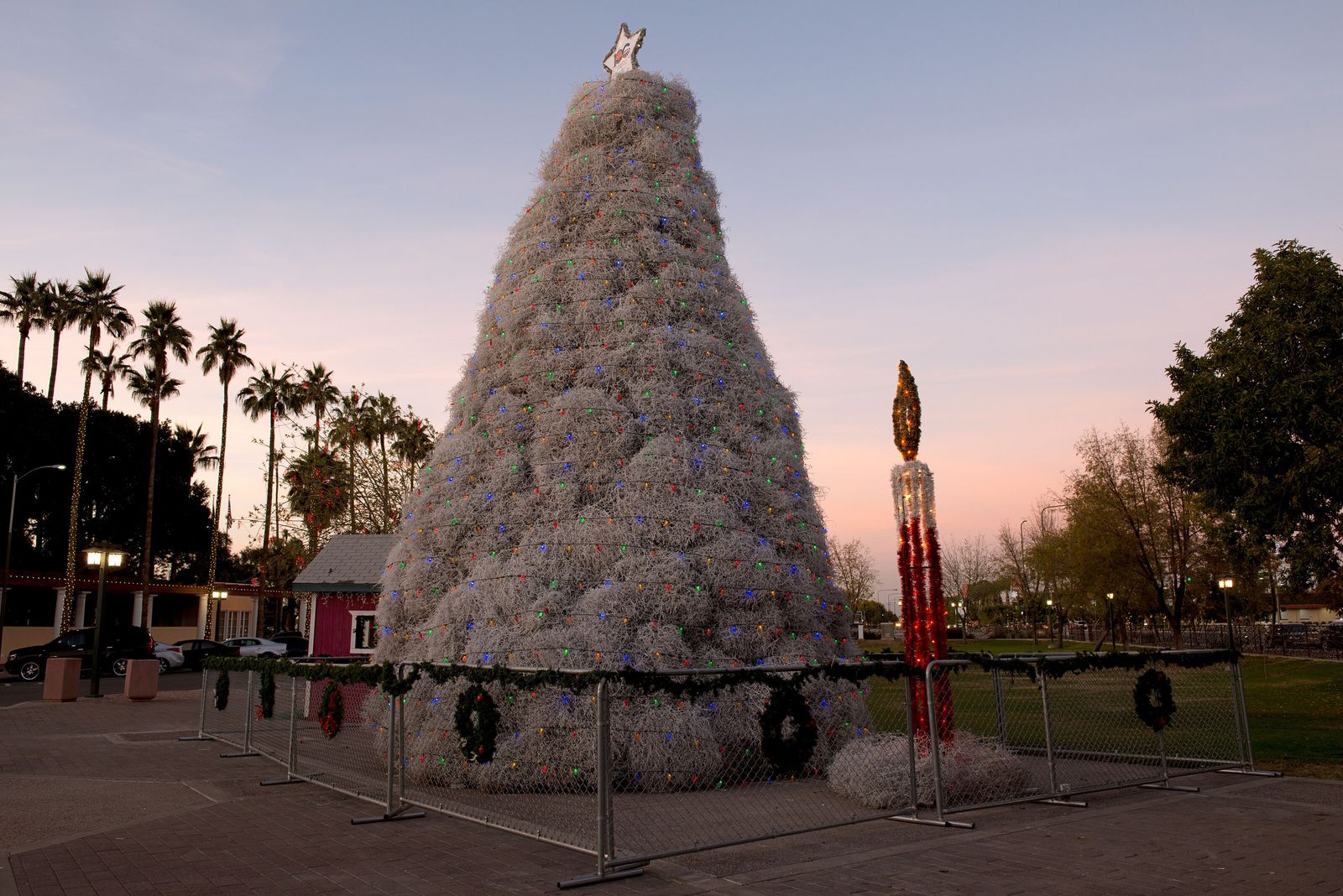 Decoración navideña: ¿Existe un árbol de Navidad sustentable? La respuesta es compleja