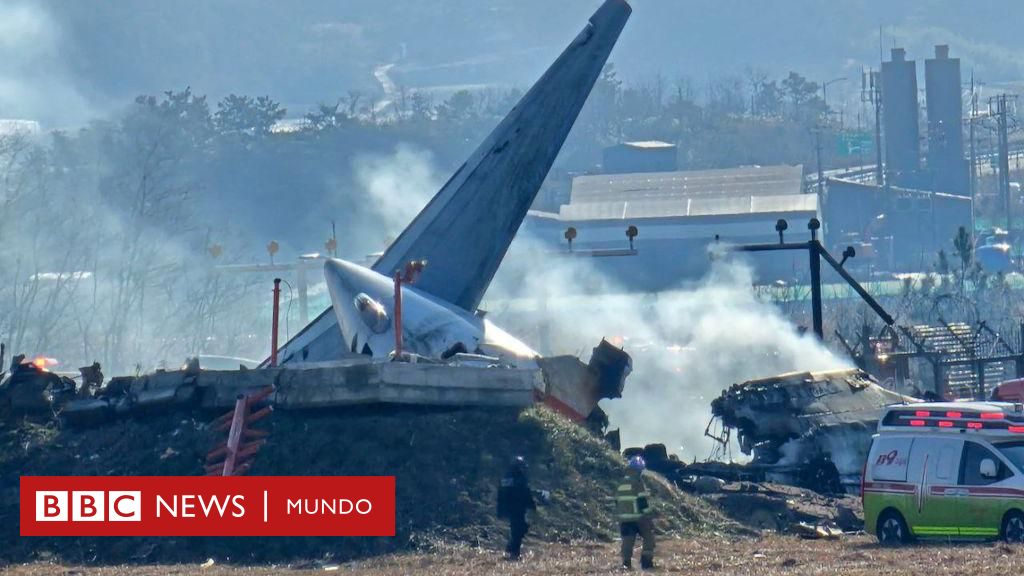 ¿Por qué había un muro al final de la pista en la que ocurrió el accidente de avión en el que murieron 179 personas en Corea del Sur? – BBC News Mundo